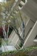 Hallmark Construction Builds New Home for Diamond Systems Corp.